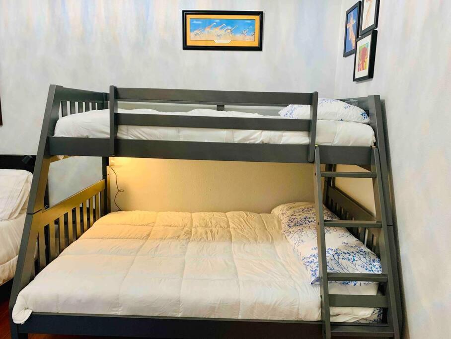 Pershing Place: Historic Home With Heated Spa/Pool By Zoo, Pearl, Golf, Witte Σαν Αντόνιο Εξωτερικό φωτογραφία